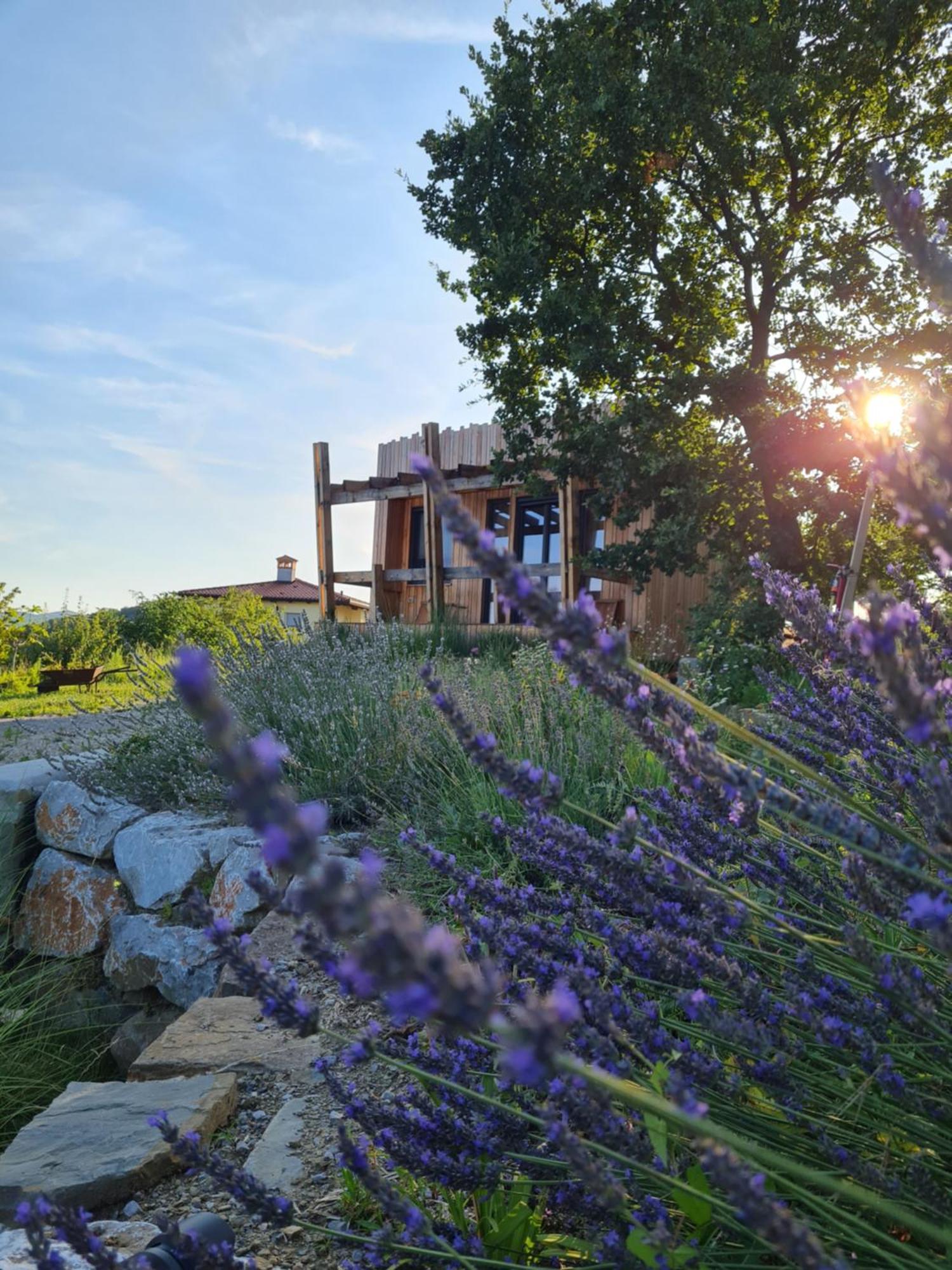 Panorama Glamping Vipavska Dolina Apartment Dobravlje Ngoại thất bức ảnh